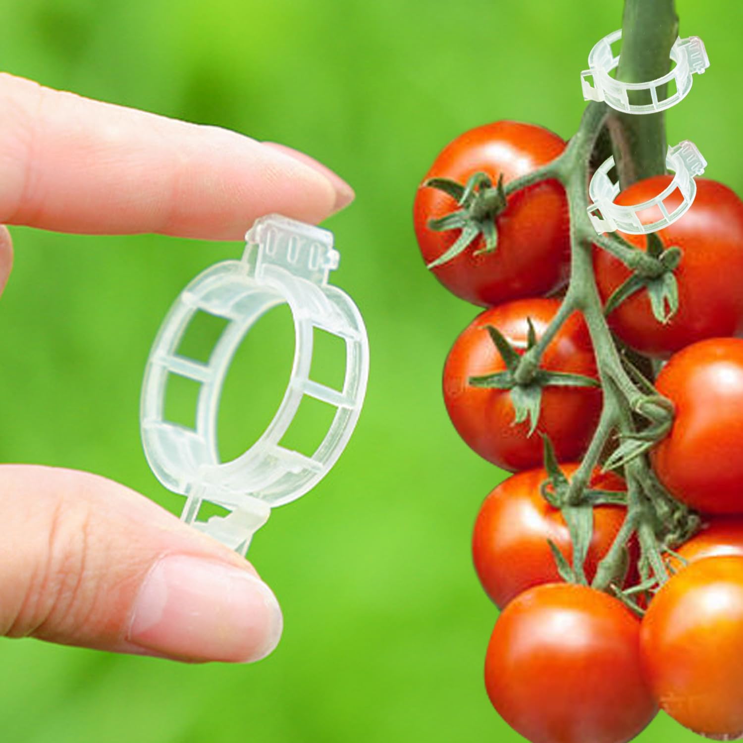 713ATNXQIhL._SL1500_.jpg Trellis Clips for Climbing Plants Outdoor,Plant Support Clips Reusable Garden Clips,Tomato Clips, Plastic Trellis Clips,Garden Plant Clips to Grow Upright Makes Plants (50, White) - Image 1