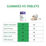 Little Joys Calcium and Vitamin D3 Gummies for Women | Plant-based Vitamin B12 & Prebiotic Fiber | 400mg Calcium/Gummy| Supports Bone Strength,Joint & Muscle Health |Gut-Friendly Formula | No Added Sugar | Pack of 30 - Image 6