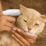 Paw Science Dog Ear Cleaner Wipes – Finger Wipes for Dogs & Cats – Cleaning, Soothing, & Deodorizing Itchy Ears – Pet Ear Relief Solution (Coconut) - Image 9