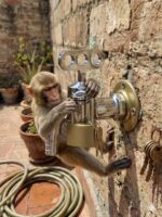 Lockable Garden Tap 1/2"– Monkey-Proof & Tamper-Proof Outdoor Water Faucet Tap – Rust-Resistant Chrome Plated Steel Bibcock for Home & Commercial Use (Lock not Included) - Image 2