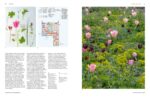 Gardens Under Big Skies: Reimagining Outdoor Space, the Dutch Way - Image 10