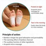 Detox Foot Pads & Patches | Foot Pads for Weight Loss, Foot Patches Fat Burning | Foot Patch for Detoxification | Ginger Foot Patch | Footpad Detox Remove Toxin & Pain Relief | Mild Care (pack of - 2/20 Patches) - Image 2