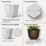 YUCCABE ITALIA SHERA Hexa Plastic Planter Pot for Plants Decorative Flower Pot UV Protected Lightweight Indoor Outdoor Gamla for Home Decor, Balcony, Garden & Living Room (Stone White, 8 INCH - 3 Pcs) - Image 3
