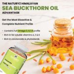 NATURYZ Himalayan Sea Buckthorn Berry Oil Triple Strength 1120mg | Liquid fill Technology for High Absorption & Bioavailability | Full Spectrum Cold-Pressed Vegetarian Omega 7 + Omega 3-6-9 | Skin Glow, Immunity & Gut Health Supplement | Gentler on Stomach, Non-GMO – 60 Veg Capsules - Image 6