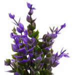 amazon basics Artificial Plants with Pot|Realistic Looking| Multi Variety |Durable Plastic | No Maintenance | Home Decor | Dimensions: 5 cm X 13 cm (Pack of 8) - Image 8