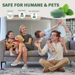 Rat Repellent Rodent, Mouse, Rats, Spider, Squirrel, Pest Control Indoor & Outdoor, Natural Mouse Deterrent Replace Traps Car Home Pack of 1 (10 Tablet) Repel Mice and Rats Protect Wires in Car, No Kill Only Repels Home Garden Patio Garage Rat Controller Pills to Keep Rodents Out of Car (10-boll) - Image 7