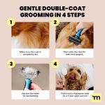 MalsiPree Pet Grooming Brush for Dogs/Cats,2 in 1 Deshedding Tool & Undercoat Rake Dematting Comb for Mats,Reduces Shedding by Up to 95%,Great for Short to Long Hair Small Large Breeds - Image 9