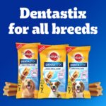 Pedigree Dentastix Oral Care Dog Treat, Adult Small Breed (5-10 kg), 440 g, Recommended by Vets, Supports Gum Health, Reduces Risk of Gum diseases - Image 15