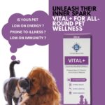 PET360 Vital+ Advanced Wellness Formula | Daily Multivitamin Syrup | Healthy Skin, Joints, Immunity & Growth | Nutritional Supplement for Dogs & Cats- 200 ml - Image 2