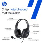 HP H120 Stereo USB Headset, Plug-and-Play USB-A, Built-in Noise-canceling mic, Adjustable Head Strap, Padded Ear Cushions, 360-degree Bendable mic, 1-Year Limited Warranty, Black, 9Z4V9AA - Image 7