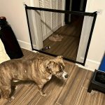 Magic Dog Gate for Doorways and Stairs - No Drill Portable Mesh Pet Gate Safety Fence for House, Heavy Duty Woven Net Dog Barrier. - Image 4