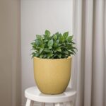 YUCCABE ITALIA FOXB PCUP 10 INCH Pots for Plants Durable Polymers Lightweight Indoor Outdoor Flower Pot Gamla Tree Planter Container Planters for Living Room, Balcony, Garden, Office (Beige, 10 Inch)