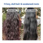 Vilvah Goat Milk Shampoo | with Ceramides for Dry & Frizzy Hair | Nourishing Natural Shampoo that Strengthens, Smoothens & Adds Shine | Sulphate-Free Hair Cleanser for Men & Women | 250ml - Image 5