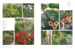 Gardens Under Big Skies: Reimagining Outdoor Space, the Dutch Way - Image 11