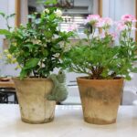 The Decorshed Cute Climbing Tortoise Flower Pot Hugger Figurines Resin Hanging Turtle Statue Planter Pot Decorations for Home Garden Fence Balcony Patio Lawn Yard Ornaments(Pack of 1) - Image 2