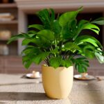 YUCCABE ITALIA FOXB PCUP 10 INCH Pots for Plants Durable Polymers Lightweight Indoor Outdoor Flower Pot Gamla Tree Planter Container Planters for Living Room, Balcony, Garden, Office (Beige, 10 Inch) - Image 6