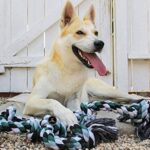 PSK PET MART Large Dog Rope Toys for Aggressive Chewers - Cotton Rope Dog Chew Toys for Tug of War and Training - Image 5