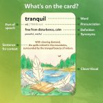 Skillmatics Educational Vocabulary Flash Cards for Kids – Wordables Level 1 | Learn 100 words with Wordplay, Visuals, & Soundplay, Gift for Ages 8, 9, 10 & Up, Screen-Free Language Game - Image 4