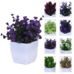 amazon basics Artificial Plants with Pot|Realistic Looking| Multi Variety |Durable Plastic | No Maintenance | Home Decor | Dimensions: 5 cm X 13 cm (Pack of 8) - Image 2
