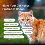 Absolut Pet Cat Supplement for Gut Health, Probiotic Chews for Cats that Reduce Scratching & Paw-Licking (30 Chews) - Image 6
