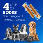 Pedigree Dentastix Oral Care Dog Treat, Adult Small Breed (5-10 kg), 440 g, Recommended by Vets, Supports Gum Health, Reduces Risk of Gum diseases - Image 7