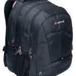 COSMUS Eden DX 44-Litre Laptop Backpack