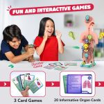 Smartivity Human Body Toy for Kids 6-12 Years|Body Organs & Functions|Birthday Gifts for Unisex|DIY Science Toys 6,7,8,9,10,11,12,13,14 Years Old I STEM Building Set Wooden Construction Game,79 Pcs - Image 3