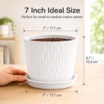SWAPKART (Pack of 5 6 Inch Plastic Flower Pots for Indoor & Outdoor Terrace,Garden Plants Decorative Planters with Drainage Holes & Matching Saucers Durable & Lightweight (White) - Image 5