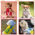 YellowCult Cotton Cute Dog T-Shirt Clothes, Summer Sweatshirts Sporty Pet Random Design Outfit for Small Breed Dog, cat, Puppy, Kitten, Diwali, Festival, Travel, Outing, Photos(M- Any 1, Multicolor) - Image 3