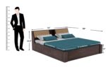Ganpati Arts Sheesham Wood Mayor King Size Bed with Headboard Box Storage for Bedroom Living Room Wooden Double Bed Palang (Walnut Finish) - Image 2