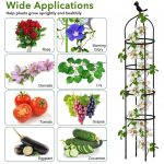 HASTHIP® Garden Plant Support Cages Stakes, Durable Metal Frames for Climbing Plants, Vegetables & Flowers, Rust-Resistant, for Indoor & Outdoor Gardening | Steady Hold for Climbing Vines and Veggies, Rust-Resistant Metal Build, Indoor Outdoor Setup, Easy Assemble Design - Image 6