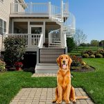Magic Dog Gate for Doorways and Stairs - No Drill Portable Mesh Pet Gate Safety Fence for House, Heavy Duty Woven Net Dog Barrier. - Image 2