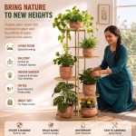 6 Potted Decorative Plant Stand | Anti-Rust Multi-Tier Stand for Indoor Outdoor Plants| Vertical Plant Stand for Living Room, Bedroom, Office Corner | Gamla Stand | Trendy Planter Rack | Size – 37x18 Inch (HxL) - Gold - Image 6