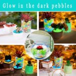 Glow in The Dark Pebbles Stones 500 PCS (5 Pack) – Multicolor Luminous Resin Glow Rocks for Garden Pathway, Aquarium, Fish Tank, Pond, Vase Fillers, Plant Pots, Walkway, Patio & Outdoor Home Decor - Image 4