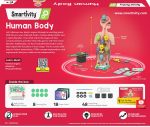 Smartivity Human Body Toy for Kids 6-12 Years|Body Organs & Functions|Birthday Gifts for Unisex|DIY Science Toys 6,7,8,9,10,11,12,13,14 Years Old I STEM Building Set Wooden Construction Game,79 Pcs - Image 6