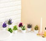amazon basics Artificial Plants with Pot|Realistic Looking| Multi Variety |Durable Plastic | No Maintenance | Home Decor | Dimensions: 5 cm X 13 cm (Pack of 8) - Image 5
