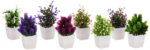 amazon basics Artificial Plants with Pot|Realistic Looking| Multi Variety |Durable Plastic | No Maintenance | Home Decor | Dimensions: 5 cm X 13 cm (Pack of 8) - Image 7