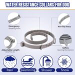 Flea and Tick Collar for Dogs & Cats | 8-Month Adjustable Waterproof Collar | Natural & Safe Protection Against Fleas, Ticks, Lice & Parasites | Puppies & Adult Pets - Image 2