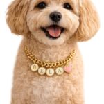 Personalized Pet Name Necklace for Dogs & Cats | Custom Pet Name Charm Necklace | Adjustable Gold Plated Pet Jewellery | Customized Gift for Pet Lovers