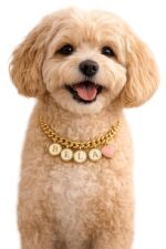 Personalized Pet Name Necklace for Dogs & Cats | Custom Pet Name Charm Necklace | Adjustable Gold Plated Pet Jewellery | Customized Gift for Pet Lovers