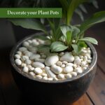 TrustBasket White Pebble Decorative Stones Marble Rock [2 Kg] [2.5cm - 4cm] for Aquarium Garden Indoor & Outdoor Decoration Pebble Stone White - Image 2