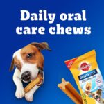 Pedigree Dentastix Oral Care Dog Treat, Adult Small Breed (5-10 kg), 440 g, Recommended by Vets, Supports Gum Health, Reduces Risk of Gum diseases - Image 6