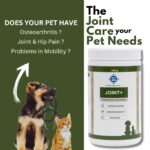 PET360 Joint+ Chondroprotective Formula - 100 gm | Hip, Joints, Cartilage Supplement for Dogs & Cats for Improved Mobility & Pain Relief with Glucosamine, Chondroitin, MSM | Suitable for All Breeds - Image 2