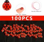 100PCS Glow in Dark Ladybug Ornaments, Luminous Miniatures for Garden Decor, Miniature Things and Miniature Decorative Items for Outdoor Yard Patio Landscape Layout - Image 3
