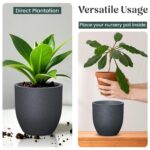 YUCCABE ITALIA FOXB PCUP 17 Inch Pots for Plants Durable Polymers Lightweight Indoor Outdoor Flower Gamla Tree Planter Container Planters for Living Room, Balcony, Garden, Office (Grey, 17 Inch) - Image 3