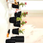 Amazon Brand - Solimo 100% Virgin Plastic Round Nursery Planter Pot | Indoor and Outdoor Flower Pot for Home/Office/Table/Garden/Balcony Decoration | 6 inch, Set of 20 | Black - Image 2