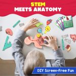 Smartivity Human Body Toy for Kids 6-12 Years|Body Organs & Functions|Birthday Gifts for Unisex|DIY Science Toys 6,7,8,9,10,11,12,13,14 Years Old I STEM Building Set Wooden Construction Game,79 Pcs - Image 4