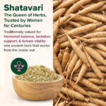 VAHDAM Her Balance+ Herbal Infusion | Supports Menstrual & Hormonal Health | Powered by Spearmint, Shatavari & Cinnamon | Caffeine Free | Plant-Based | 30 Tea Bags - Image 7