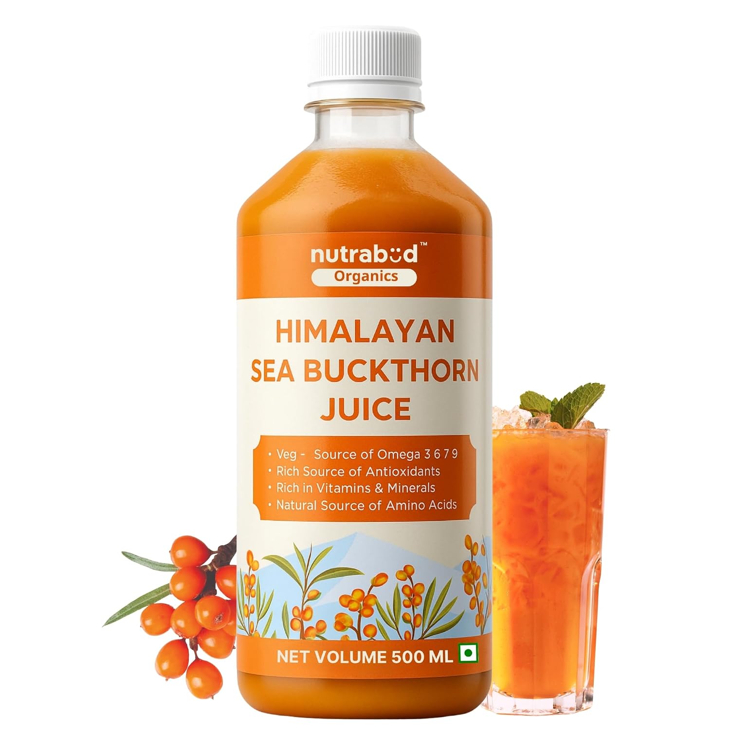 71v8yh6heCL._SL1500_.jpg Nutrabud Organics Himalayan Sea Buckthorn Berry Juice - 500 ml - Natural Source of Vitamin C, Omega 3 6 7 9, Antioxidants For Immunity, Skin Glow & Gut Health - 50 Glasses (500ml (Pack of 1)) - Image 1
