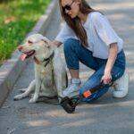 Amazon Basics Folding Jaw Clamp Poop Scooper | Pet Waste Picker | Large - Image 5